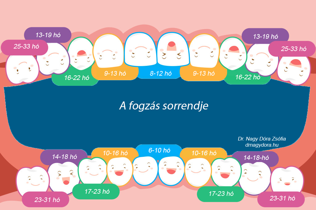 fogzas2 (1)
